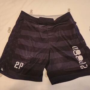 2Pood Stars & Stripes Pattern Mens Athletic Shorts